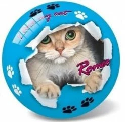 Μπάλα Star Romeo – Roxy 23cm (3125)