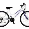 Orient Ποδηλατο Οrient Mtb Comfort Lady 20″ 6Sp Λευκο Μωβ (151316) -Μαγαζί ποδηλάτων Orient 684634