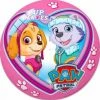 Μπάλα Star Paw Patrol Skye 23 Εκ. (2895)